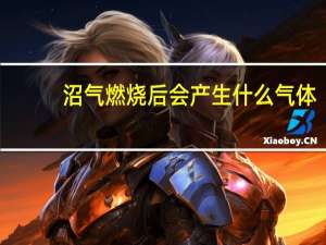 沼气燃烧后会产生什么气体