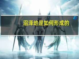 沼泽地是如何形成的