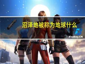 沼泽地被称为地球什么