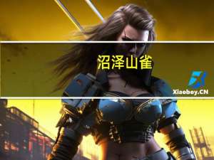 沼泽山雀（沼泽山雀）