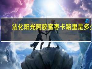 沾化阳光 阿胶蜜枣卡路里是多少