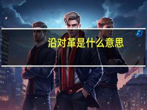 沿对革是什么意思