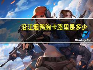 沿江 烟鸭胸卡路里是多少
