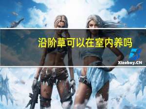 沿阶草可以在室内养吗