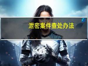 泄密案件查处办法