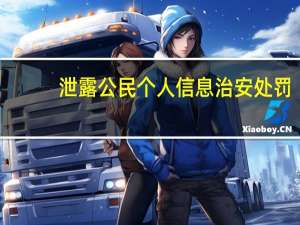 泄露公民个人信息治安处罚