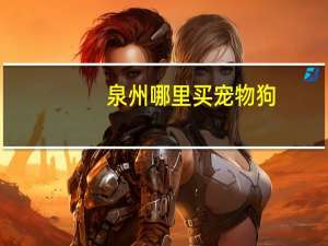 泉州哪里买宠物狗