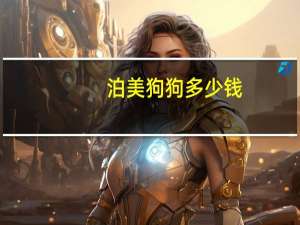 泊美狗狗多少钱