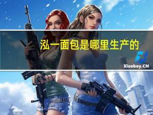 泓一面包是哪里生产的
