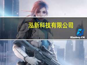 泓新科技有限公司（新泓能简介）