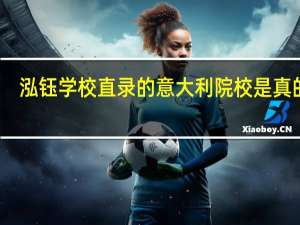 泓钰学校直录的意大利院校是真的么