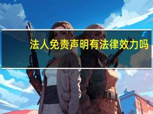 法人免责声明有法律效力吗