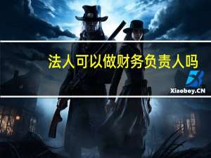 法人可以做财务负责人吗（法人可以做财务负责人）