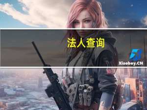法人查询（法人性质）
