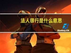 法人银行是什么意思