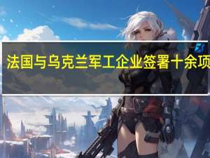 法国与乌克兰军工企业签署十余项协议