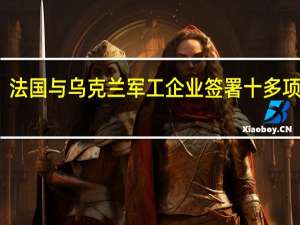 法国与乌克兰军工企业签署十多项协议