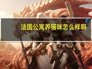 法国公寓养猫咪怎么样啊