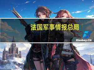 法国军事情报总局：加沙医院爆炸不是由以色列袭击引起的而很可能是巴勒斯坦火箭误射所致