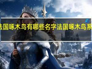 法国啄木鸟有哪些名字 法国啄木鸟系列电影