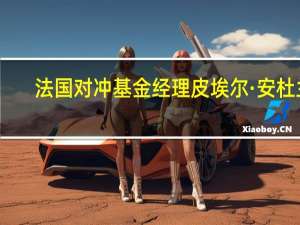 法国对冲基金经理皮埃尔·安杜兰：油价达到110美元/桶可能促使沙特恢复供应