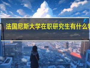 法国尼斯大学在职研究生有什么特点