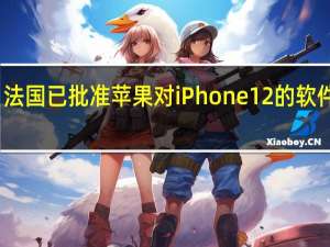 法国已批准苹果对iPhone 12的软件更新：将解决辐射问题