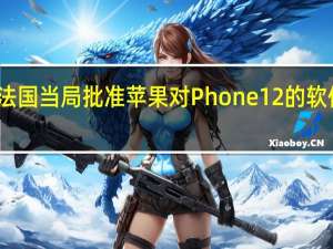 法国当局批准苹果对Phone 12的软件更新