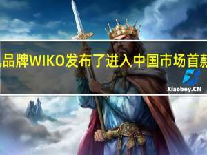 法国手机品牌WIKO发布了进入中国市场首款新机WIKO5G