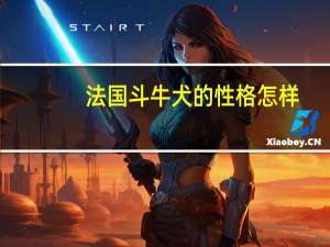 法国斗牛犬的性格怎样
