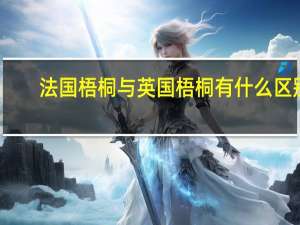 法国梧桐与英国梧桐有什么区别