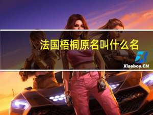 法国梧桐原名叫什么名