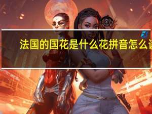 法国的国花是什么花拼音怎么读（法国的国花是什么）