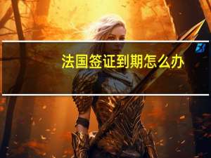 法国签证到期怎么办