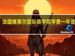 法国维莱尔国际商学院学费一年是多少