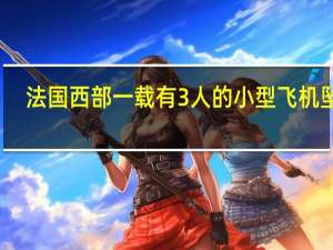 法国西部一载有3人的小型飞机坠毁