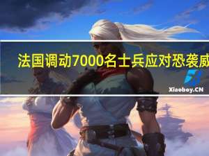 法国调动7000名士兵应对恐袭威胁