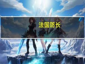 法国防长：法国已暂停在加蓬的军事活动