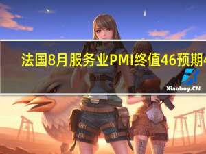 法国8月服务业PMI终值 46预期46.7前值46.7