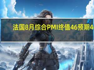 法国8月综合PMI终值 46预期46.6前值46.6