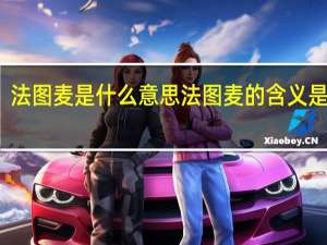 法图麦是什么意思 法图麦的含义是什么？