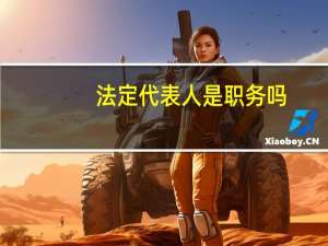 法定代表人是职务吗