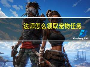 法师怎么领取宠物任务