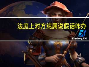 法庭上对方纯属说假话咋办