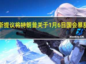 法庭文件显示特别检察官史密斯提议将特朗普关于1月6日国会暴乱案件的审判日期定为2024年1月2日
