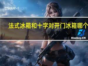 法式冰箱和十字对开门冰箱哪个好