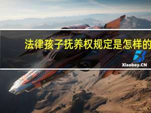 法律孩子抚养权规定是怎样的