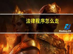 法律程序怎么走