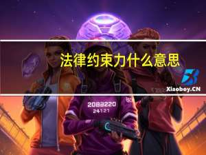 法律约束力什么意思