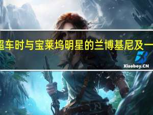 法拉利超车时与宝莱坞明星的兰博基尼及一辆露营车相撞，导致一对夫妇不幸遇难